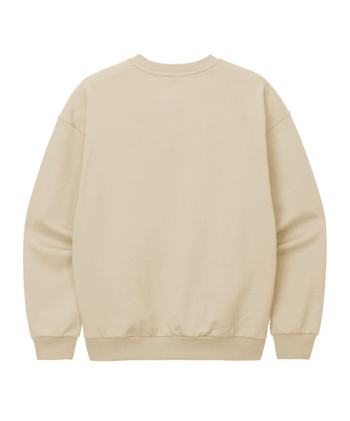 WILDROCK(ワイルドロック)の「WRCK アーチロゴ スウェット_アイボリー(スウェット・メンズ・その他・MEDIUM/LARGE/SMALL)」の2枚目の写真