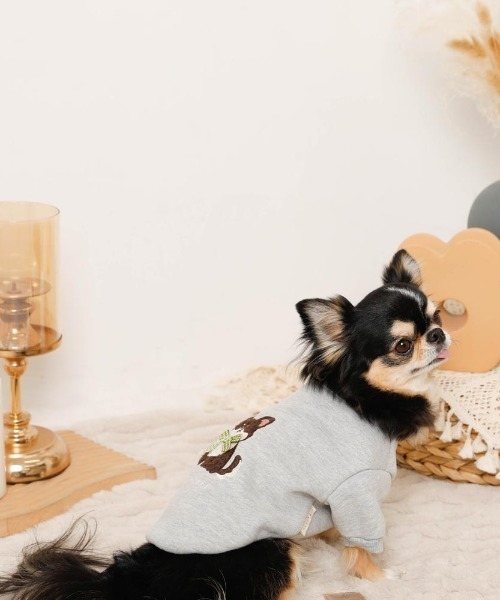 moncheri(モンシェリ)の「いぬさんもこもこ刺繍トップス(ペットウェア・レディース・グレー/ブラウン/ピンク・S/M/L/XL)」の10枚目の写真