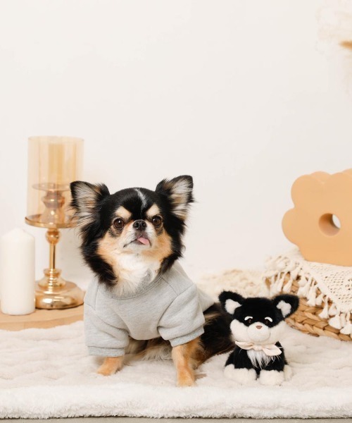 moncheri(モンシェリ)の「いぬさんもこもこ刺繍トップス(ペットウェア・レディース・グレー/ブラウン/ピンク・S/M/L/XL)」の12枚目の写真