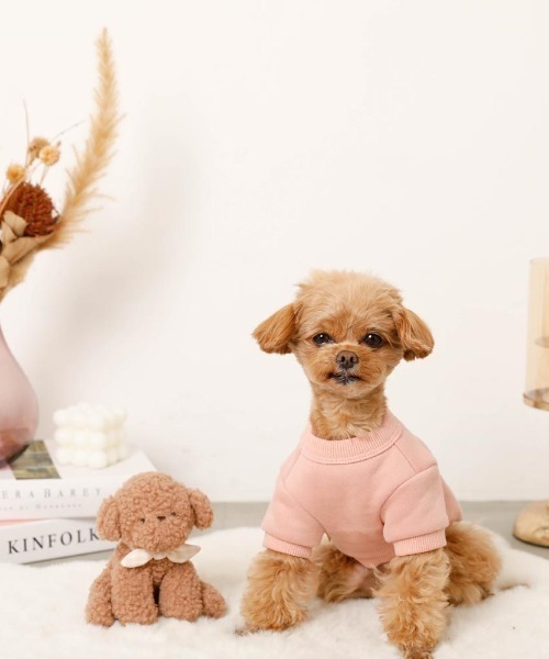 moncheri(モンシェリ)の「いぬさんもこもこ刺繍トップス(ペットウェア・レディース・グレー/ブラウン/ピンク・S/M/L/XL)」の13枚目の写真