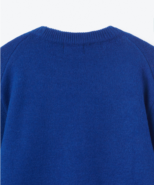 MUSINSA STANDARD KIDS（ムシンサスタンダードキッズ）の「エッセンシャルクルーネックニット[ブルー]（ニット/セーター・レディース・その他・110/120/130/150/140/160）」の5枚目の写真