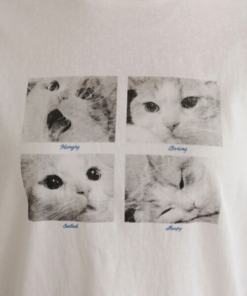 fredy emue(フレディエミュ)の「刺しゅう入りCAT PHOTO Tシャツ(Tシャツ/カットソー・レディース・ライトグレー/オフホワイト/チャコールグレー・38)」の18枚目の写真