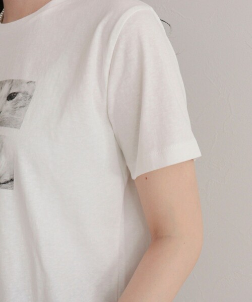 fredy emue(フレディエミュ)の「刺しゅう入りCAT PHOTO Tシャツ(Tシャツ/カットソー・レディース・ライトグレー/オフホワイト/チャコールグレー・38)」の20枚目の写真