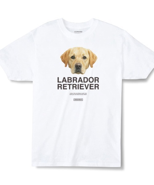 Moftique(モフティック)の「Moftique(モフティック) エントリーモデル 半袖Tシャツ アニマル アソート ドッグ 犬 インクジェットプリント 褪せ感 4.0オンス 薄手 トップス カットソー 夏 カジュアル メンズ レディース ユニセックス(Tシャツ/カットソー・メンズ・その他5/その他6/その他7/その他8/その他9/その他10/その他11/その他12/その他13/その他1/その他2/その他3/その他4・L/XL/M)」の11枚目の写真