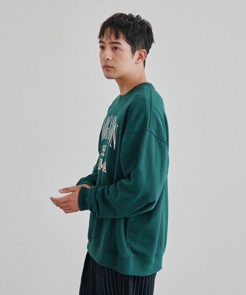 DISCOAT(ディスコート)の「【Enlude】ヒビワレカレッジロゴスウェット《WEB限定カラーあり》(Tシャツ/カットソー・レディース・レッド/ダークグリーン/ベージュ/ライトベージュ/ブラウン・FREE)」の19枚目の写真