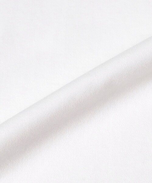 SUNSPEL(サンスペル)の「SUNSPEL / ヘビーウェイト Tシャツ(Tシャツ/カットソー・メンズ・ホワイト/チャコールグレー/ブラック・SMALL/MEDIUM/LARGE)」の6枚目の写真