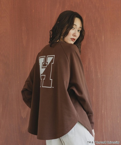 LIFE（ライフ）の「LIFE PICTURE COLLECTION＊カレッジポンチョプルオーバー/593317（Tシャツ/カットソー・レディース・グレー系その他/ダークブラウン/ライトグレー/ダークグレー・FREE）」の4枚目の写真