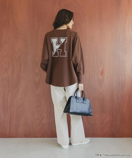 LIFE（ライフ）の「LIFE PICTURE COLLECTION＊カレッジポンチョプルオーバー/593317（Tシャツ/カットソー・レディース・グレー系その他/ダークブラウン/ライトグレー/ダークグレー・FREE）」の12枚目の写真