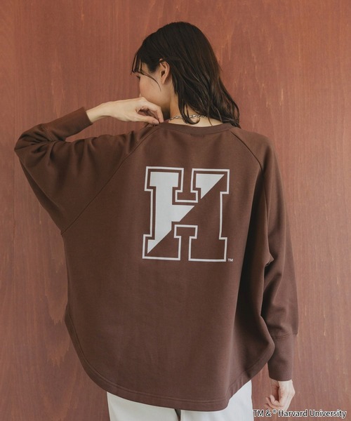 LIFE（ライフ）の「LIFE PICTURE COLLECTION＊カレッジポンチョプルオーバー/593317（Tシャツ/カットソー・レディース・グレー系その他/ダークブラウン/ライトグレー/ダークグレー・FREE）」の14枚目の写真