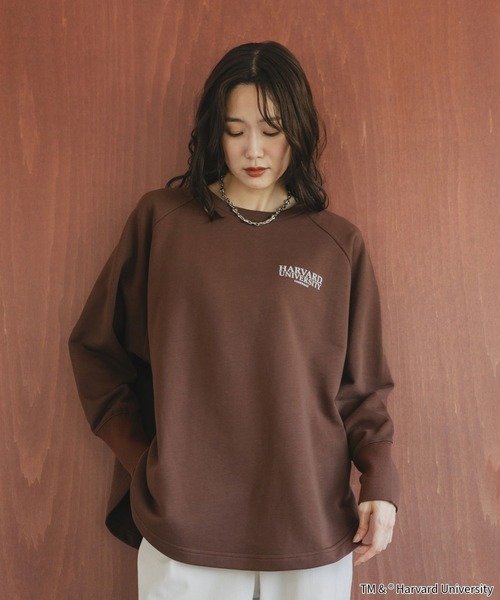 LIFE（ライフ）の「LIFE PICTURE COLLECTION＊カレッジポンチョプルオーバー/593317（Tシャツ/カットソー・レディース・グレー系その他/ダークブラウン/ライトグレー/ダークグレー・FREE）」の15枚目の写真