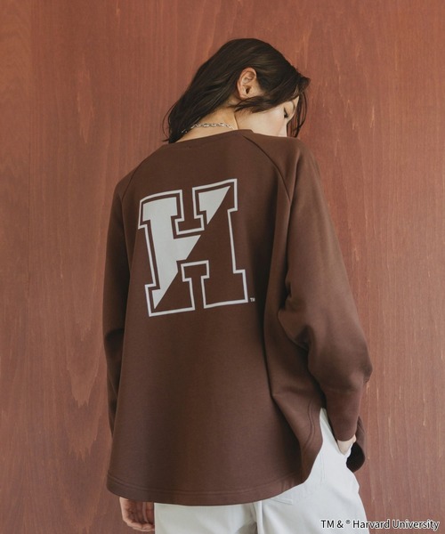 LIFE（ライフ）の「LIFE PICTURE COLLECTION＊カレッジポンチョプルオーバー/593317（Tシャツ/カットソー・レディース・グレー系その他/ダークブラウン/ライトグレー/ダークグレー・FREE）」の16枚目の写真