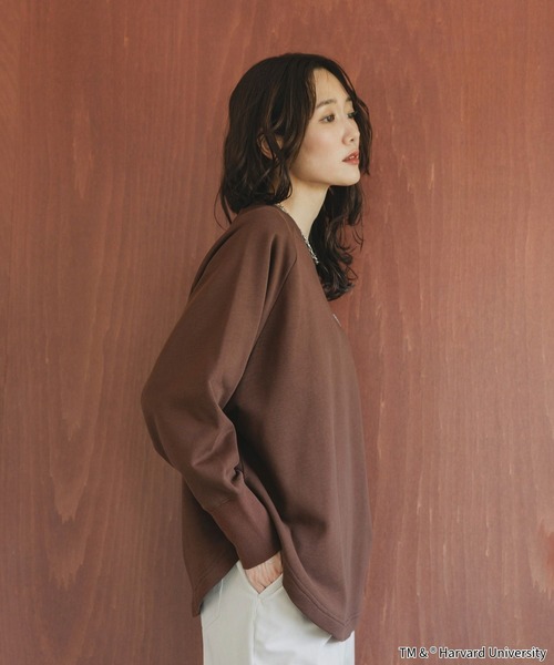 LIFE（ライフ）の「LIFE PICTURE COLLECTION＊カレッジポンチョプルオーバー/593317（Tシャツ/カットソー・レディース・グレー系その他/ダークブラウン/ライトグレー/ダークグレー・FREE）」の17枚目の写真