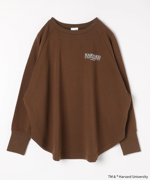 LIFE（ライフ）の「LIFE PICTURE COLLECTION＊カレッジポンチョプルオーバー/593317（Tシャツ/カットソー・レディース・グレー系その他/ダークブラウン/ライトグレー/ダークグレー・FREE）」の22枚目の写真