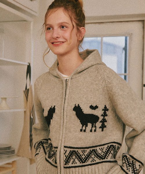 RONRON(ロンロン)の「ALPACA JACQUARD HOOD ZIP-UP KNIT GREY(ニット/セーター・レディース・その他・FREE)」の1枚目の写真