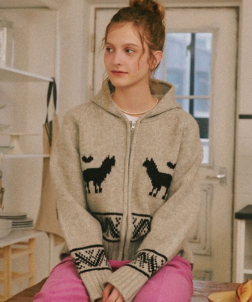 RONRON(ロンロン)の「ALPACA JACQUARD HOOD ZIP-UP KNIT GREY(ニット/セーター・レディース・その他・FREE)」の2枚目の写真