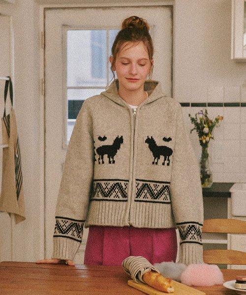 RONRON(ロンロン)の「ALPACA JACQUARD HOOD ZIP-UP KNIT GREY(ニット/セーター・レディース・その他・FREE)」の5枚目の写真