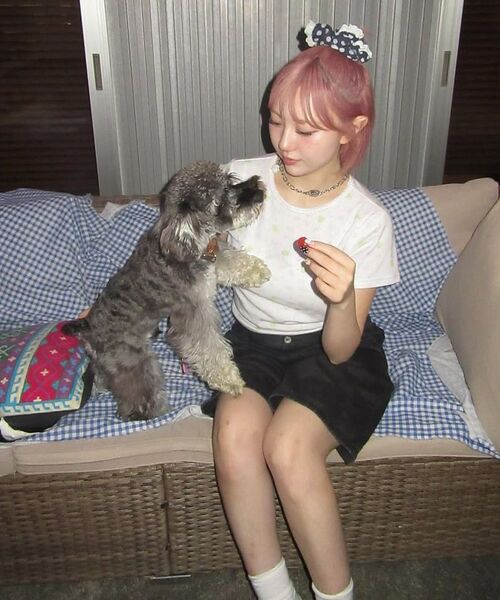 YOUHEE(ユヒ)の「SHEEP PATTERN T-SHIRTS WHITE(Tシャツ/カットソー・レディース・その他・FREE)」の7枚目の写真