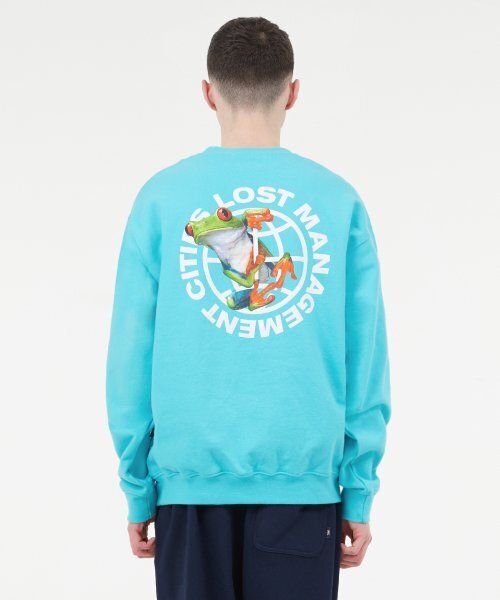 LMCの「FROG SWEATSHIRT mint(スウェット・レディース・その他・SMALL/LARGE/MEDIUM/X-LARGE)」の5枚目の写真