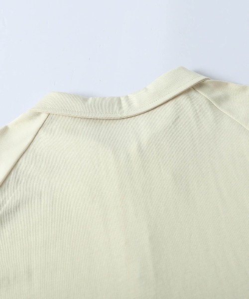 La-gemme(ラジェム)の「襟付き ハーフジップトップス(Tシャツ/カットソー・レディース・ベージュ/グレー/ブラック・フリー)」の14枚目の写真