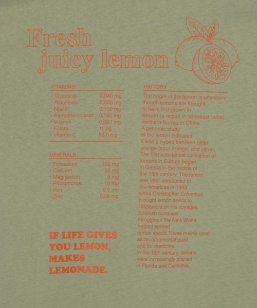 WEGO（ウィゴー）の「WEGO/メッセージバックプリントTシャツ（Tシャツ/カットソー・レディース・ホワイト/グリーン系その他・FREE）」の17枚目の写真