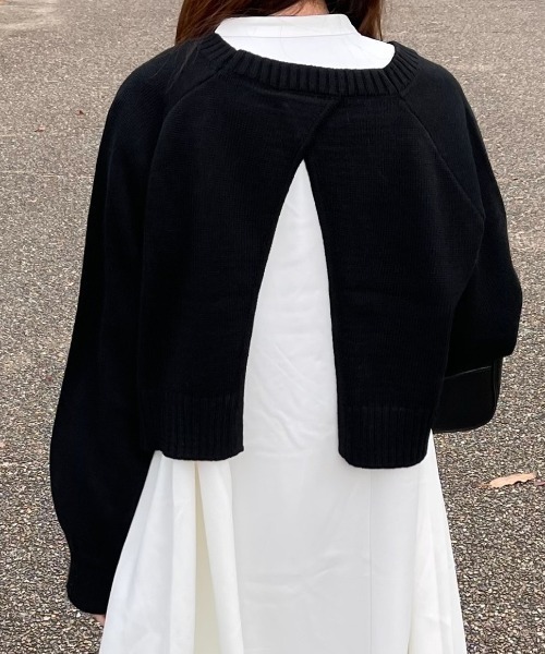 ACT（アクト）の「バックスリット クルーネック ショートニット（ニット/セーター・レディース・ライトブルー/ブラック・M）」の19枚目の写真