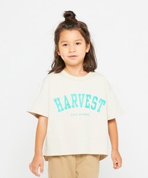 FOV | フォブ HARVEST ラウンドビッグ Tシャツ(Tシャツ/カットソー)