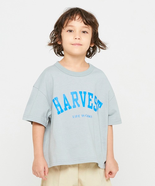 FOV（フォブ）の「フォブ HARVEST ラウンドビッグ Tシャツ（Tシャツ/カットソー・キッズ・ベージュ系その他/グレー/ブラック・S/XL/L/F/M）」の3枚目の写真
