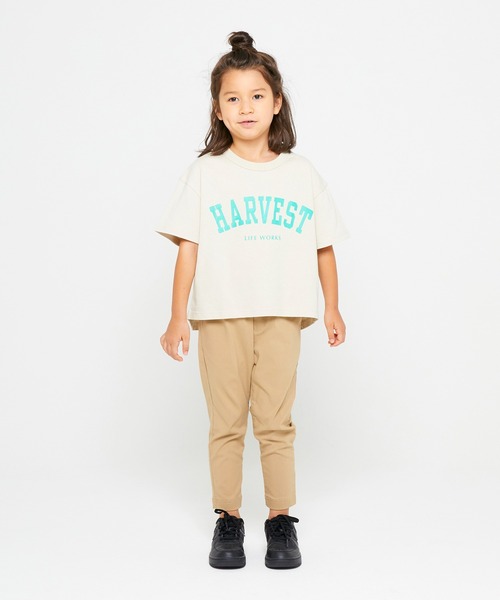 FOV（フォブ）の「フォブ HARVEST ラウンドビッグ Tシャツ（Tシャツ/カットソー・キッズ・ベージュ系その他/グレー/ブラック・S/XL/L/F/M）」の7枚目の写真