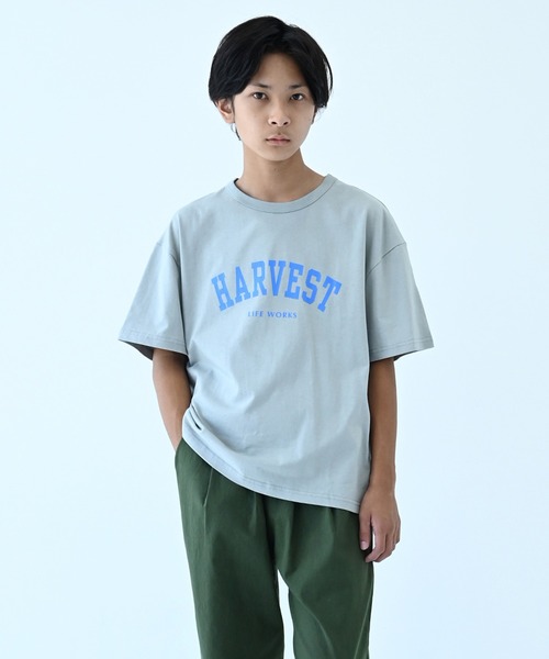 FOV（フォブ）の「フォブ HARVEST ラウンドビッグ Tシャツ（Tシャツ/カットソー・キッズ・ベージュ系その他/グレー/ブラック・S/XL/L/F/M）」の8枚目の写真