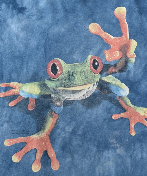 THE MOUNTAIN（ザマウンテン）の「【ヴィンテージ古着】Y2K THE MOUNTAIN / ザ・マウンテン タイダイ アニマルプリントTシャツ カエル（Tシャツ/カットソー・メンズ・ネイビー・LARGE）」の5枚目の写真