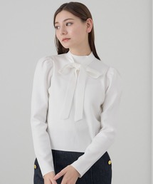 ANAYI | １６Ｇ総針ハイネック　プルオーバー(ニット/セーター)