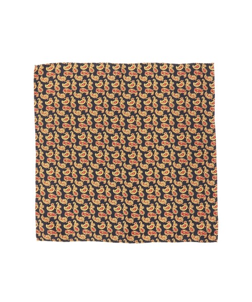 Pocket Chief Silk Hopsack Paisley Print（ハンカチ/ハンドタオル）｜BEAMS PLUS（ビームスプラス）