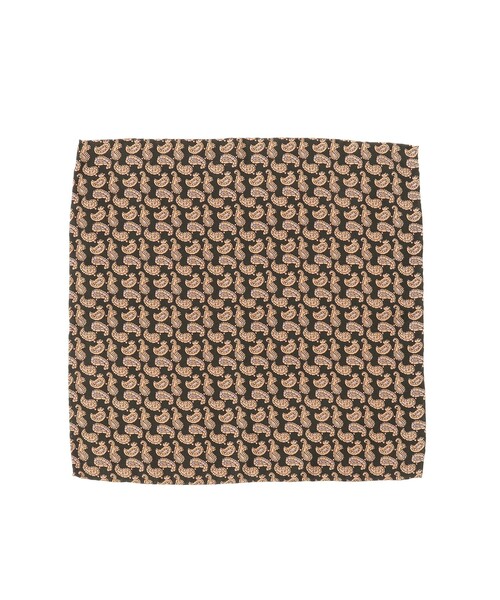 BEAMS PLUS（ビームスプラス）の「Pocket Chief Silk Hopsack Paisley Print（ハンカチ/ハンドタオル・メンズ・グリーン/レッド/ブルー・ONE SIZE）」の2枚目の写真