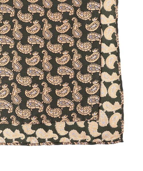 BEAMS PLUS（ビームスプラス）の「Pocket Chief Silk Hopsack Paisley Print（ハンカチ/ハンドタオル・メンズ・グリーン/レッド/ブルー・ONE SIZE）」の6枚目の写真