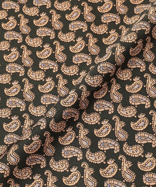 BEAMS PLUS（ビームスプラス）の「Pocket Chief Silk Hopsack Paisley Print（ハンカチ/ハンドタオル・メンズ・グリーン/レッド/ブルー・ONE SIZE）」の7枚目の写真
