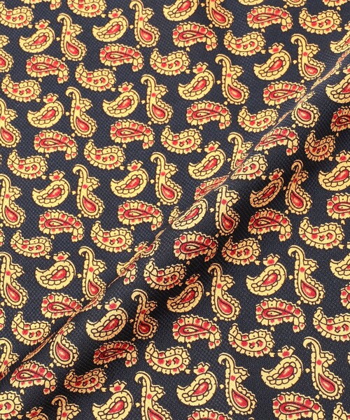 BEAMS PLUS（ビームスプラス）の「Pocket Chief Silk Hopsack Paisley Print（ハンカチ/ハンドタオル・メンズ・グリーン/レッド/ブルー・ONE SIZE）」の9枚目の写真