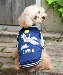 EDWIN(GhEB)EDWIN/XJWWPbg(ybgEFA)