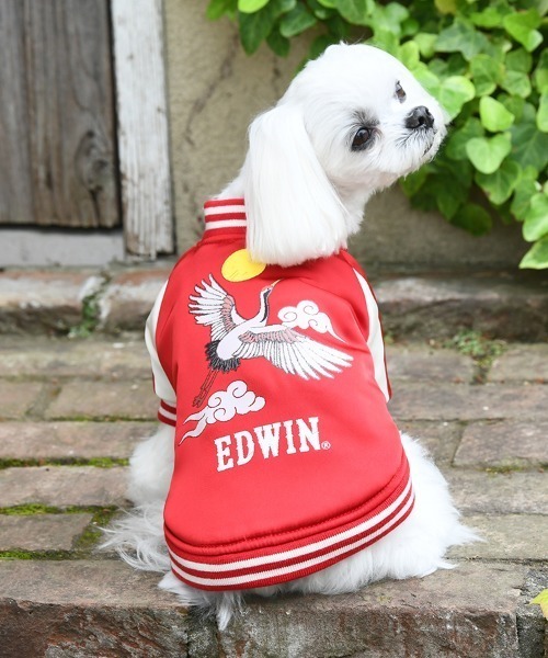 ④犬用 服(2L)ネイビー 新品 未使用 タグ付き EDWIN（エドウイン） ④
