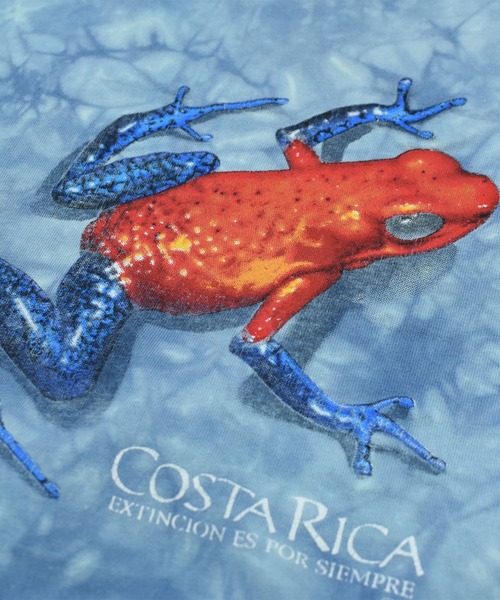 VINTAGE（ヴィンテージ）の「【USED】90’s COLOR NATURAL “Tortuguero National Park” アニマル Tシャツ（Tシャツ/カットソー・メンズ・ブルー・LARGE）」の3枚目の写真