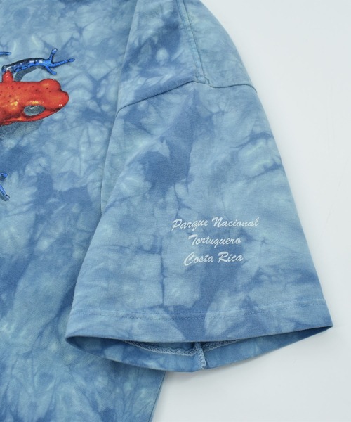 VINTAGE（ヴィンテージ）の「【USED】90’s COLOR NATURAL “Tortuguero National Park” アニマル Tシャツ（Tシャツ/カットソー・メンズ・ブルー・LARGE）」の5枚目の写真