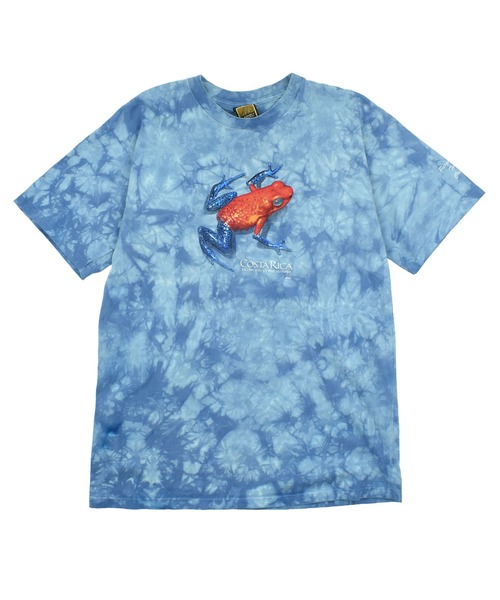 VINTAGE（ヴィンテージ）の「【USED】90’s COLOR NATURAL “Tortuguero National Park” アニマル Tシャツ（Tシャツ/カットソー・メンズ・ブルー・LARGE）」の12枚目の写真