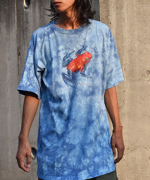 VINTAGE（ヴィンテージ）の「【USED】90’s COLOR NATURAL “Tortuguero National Park” アニマル Tシャツ（Tシャツ/カットソー・メンズ・ブルー・LARGE）」の11枚目の写真