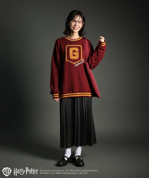 セール】ハリー・ポッター/サガラ刺繍ロゴプルオーバー（Tシャツ
