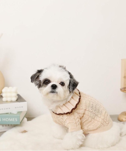 moncheri(モンシェリ)の「バイカラーフリル衿ニットトップス(ペットウェア・レディース・ブルー/アイボリー・S/M/L/XL)」の3枚目の写真