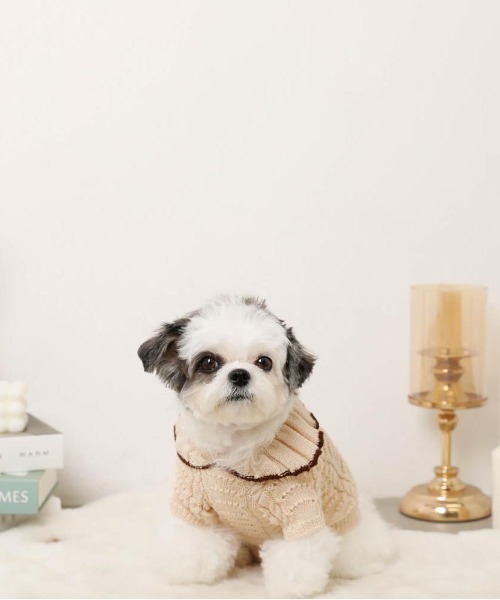 moncheri(モンシェリ)の「バイカラーフリル衿ニットトップス(ペットウェア・レディース・ブルー/アイボリー・S/M/L/XL)」の5枚目の写真