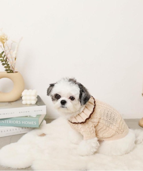 moncheri(モンシェリ)の「バイカラーフリル衿ニットトップス(ペットウェア・レディース・ブルー/アイボリー・S/M/L/XL)」の6枚目の写真