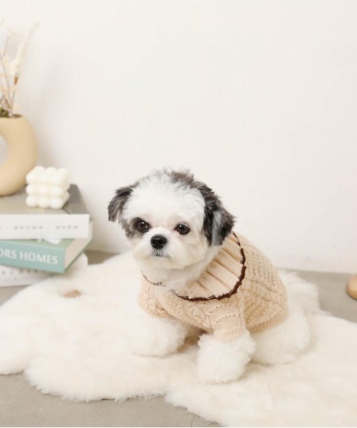 moncheri(モンシェリ)の「バイカラーフリル衿ニットトップス(ペットウェア・レディース・ブルー/アイボリー・S/M/L/XL)」の8枚目の写真