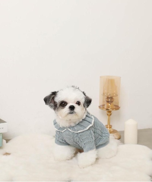 moncheri(モンシェリ)の「バイカラーフリル衿ニットトップス(ペットウェア・レディース・ブルー/アイボリー・S/M/L/XL)」の9枚目の写真