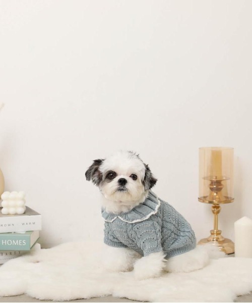 moncheri(モンシェリ)の「バイカラーフリル衿ニットトップス(ペットウェア・レディース・ブルー/アイボリー・S/M/L/XL)」の10枚目の写真