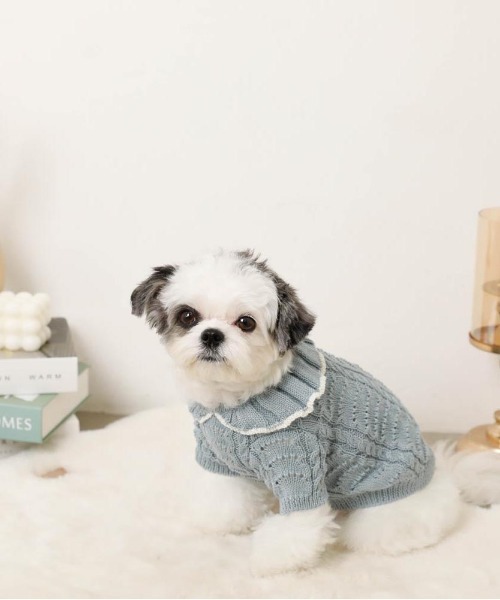 moncheri(モンシェリ)の「バイカラーフリル衿ニットトップス(ペットウェア・レディース・ブルー/アイボリー・S/M/L/XL)」の11枚目の写真